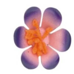 LF110-M260 (40mm) Manufacturers in Delhi
