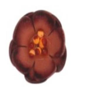 LF115-M265 (22mm) Manufacturers in Delhi