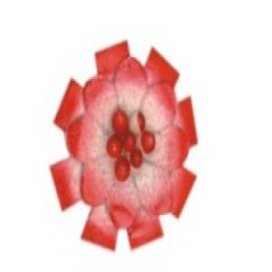 LF116-M266 (24mm) Manufacturers in Delhi