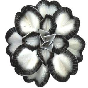 LF52-M202 (75mm) Manufacturers in Delhi