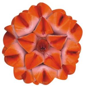 LF56-M206 (65mm) Manufacturers in Delhi