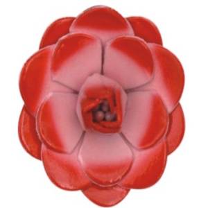 LF62-M212 (62mm) Manufacturers in Delhi