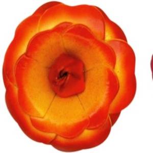 LF75-M225 (65mm) Manufacturers in Delhi